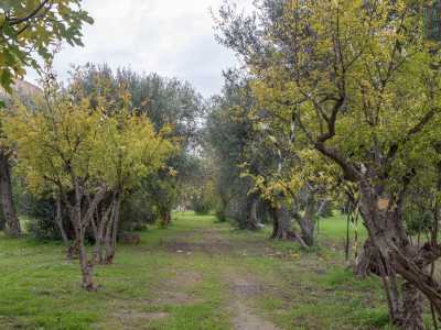 Accanto a questa zona si trova un vasto terreno agricolo con oltre 200 ulivi, carrubi, alberi da frutto e piccole coltivazioni stagionali